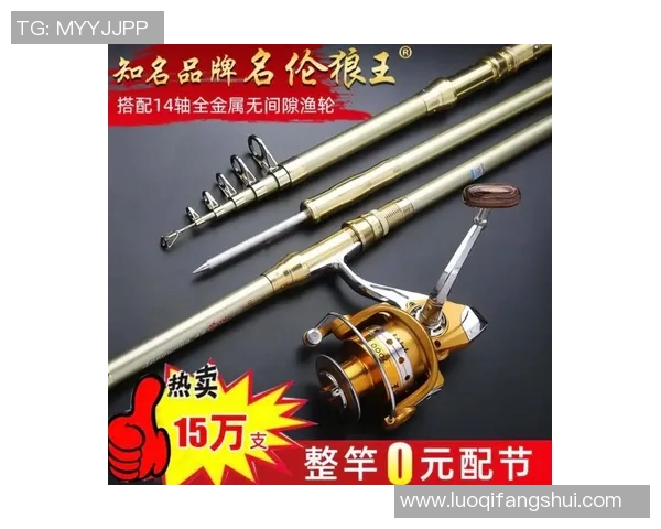 创新渔具设计与技术发展趋势分析助力钓鱼爱好者提升体验