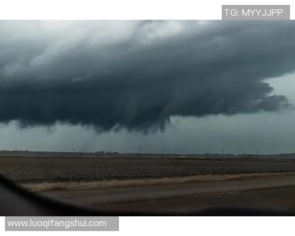 全球气候变化加剧 各国应对措施亟待加强 环保领域面临严峻挑战