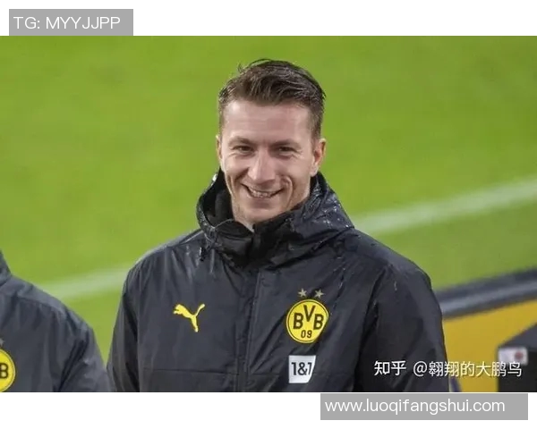 每支德甲球队的收入揭密商业运营模式日渐成熟