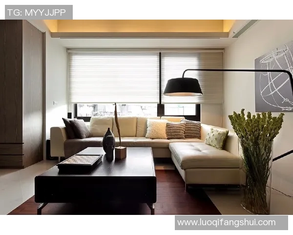 现代家居风格与功能性设计融合探索：打造舒适与实用并存的理想居住空间