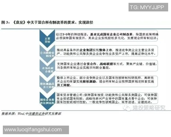 西安飞盘队战术解析：聚焦团队配合与进攻策略的深度探讨